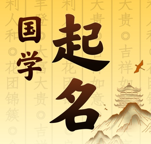 怀化市国学起名 人工起名一对一